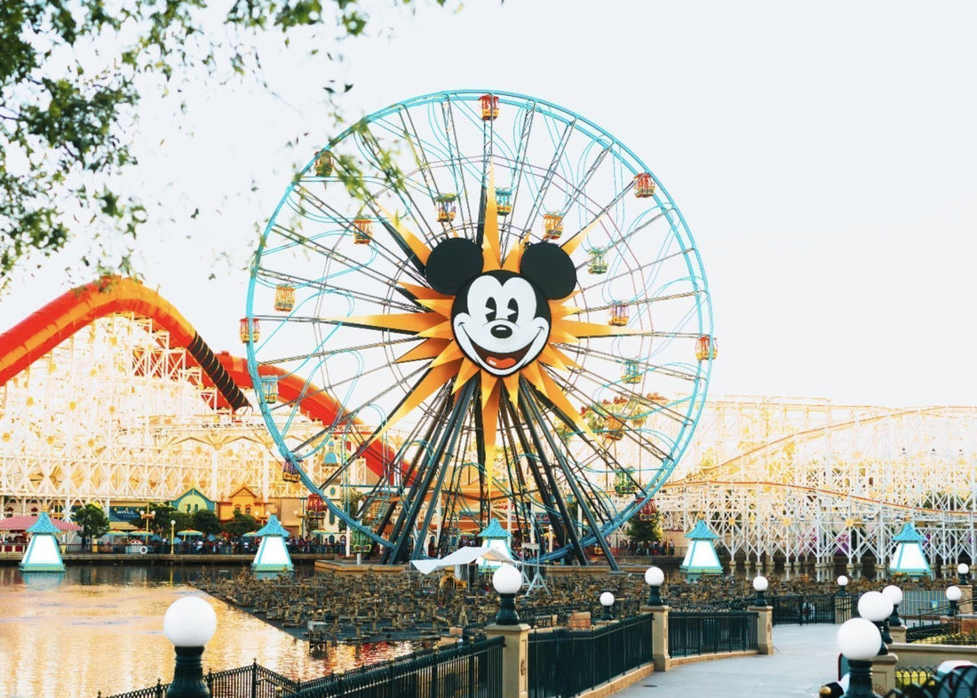 5 things you should bring to Disneyland - Footsouls insoles for Converse